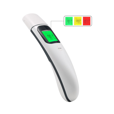 Infrared Thermometer IR101B